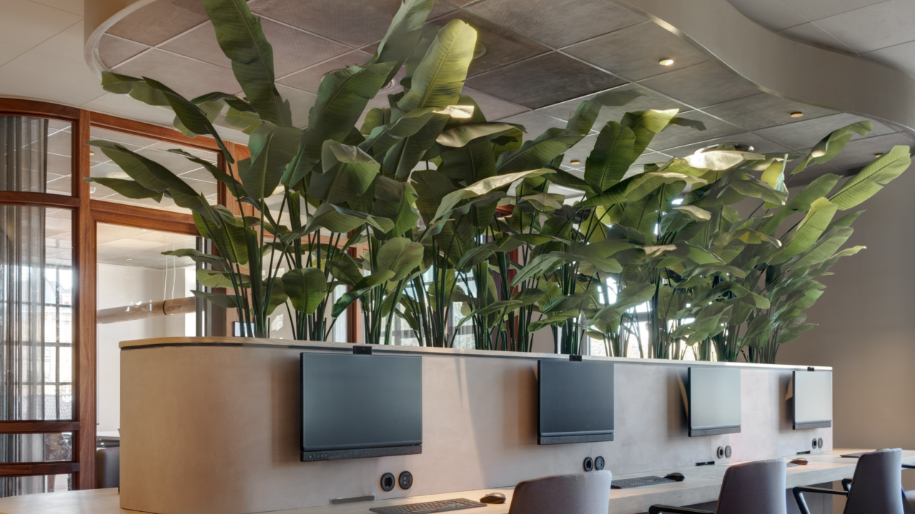 Perfecte akoestiek voel je.